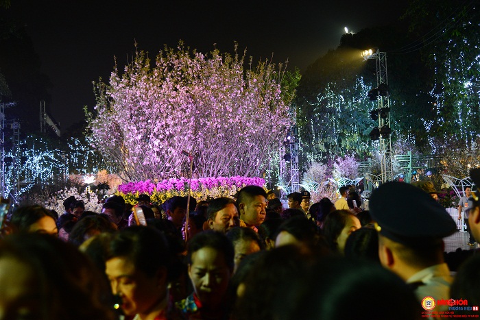 Hàng nghìn người đứng “chen chân” ngắm hoa tại Lễ hội hoa anh đào Nhật Bản - Hà Nội 2019